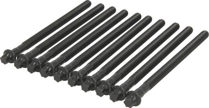 Victor Reinz 143230801 - Комплект болтів головки циліндрів autocars.com.ua