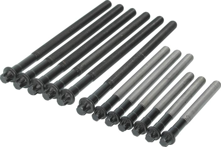 Victor Reinz 143231001 - Комплект болтів головки циліндрів autocars.com.ua