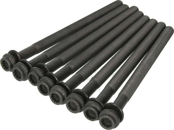 Victor Reinz 14-32324-01 - Комплект болтів головки циліндрів autocars.com.ua