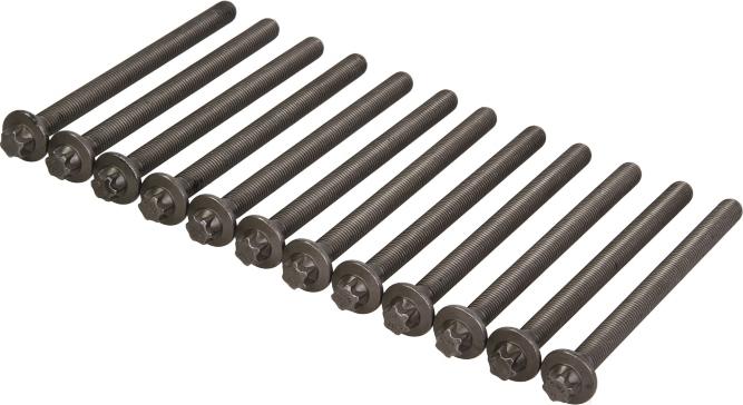 Victor Reinz 14-32331-01 - Комплект болтів головки циліндрів autocars.com.ua