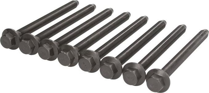 Victor Reinz 143234401 - Комплект болтів головки циліндрів autocars.com.ua