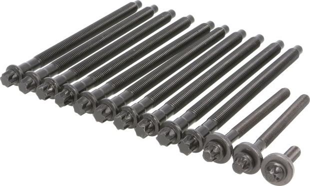 Victor Reinz 14-32347-01 - Комплект болтів головки циліндрів autocars.com.ua