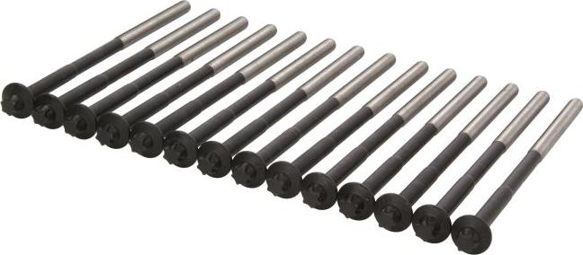 Victor Reinz 143236501 - Комплект болтів головки циліндрів autocars.com.ua