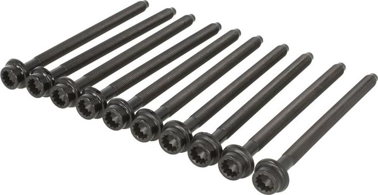 Victor Reinz 14-32385-01 - Комплект болтів головки циліндрів autocars.com.ua