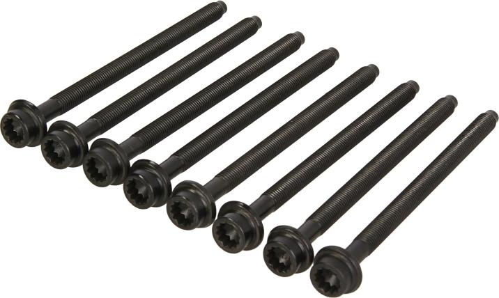 Victor Reinz 14-32385-02 - Комплект болтів головки циліндрів autocars.com.ua