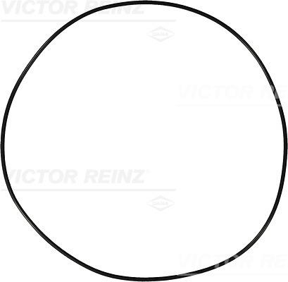 Victor Reinz 40-76910-10 - Уплотнительное кольцо autodnr.net