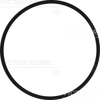 Victor Reinz 40-77210-00 - Уплотнительное кольцо autodnr.net