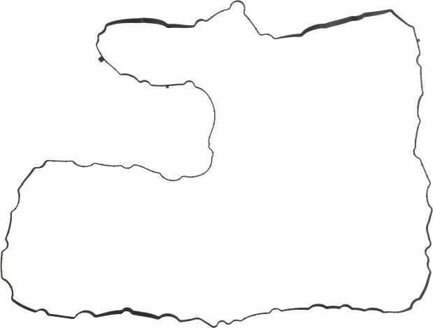 Victor Reinz 71-11320-00 - Прокладка, кришка головки циліндра autocars.com.ua