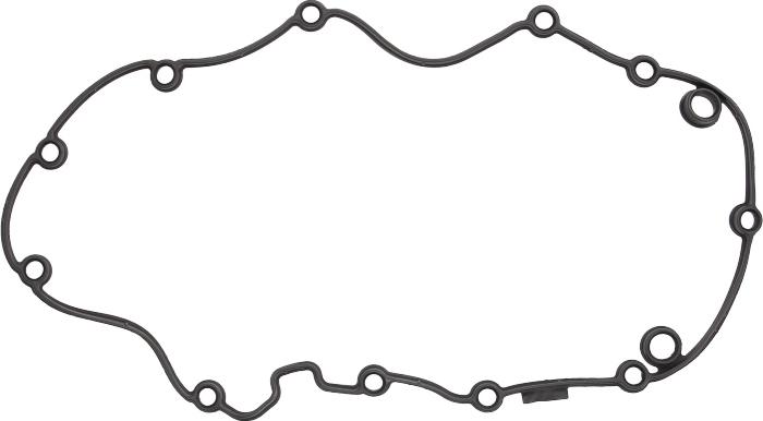 Victor Reinz 714048200 - Прокладка, кришка головки циліндра autocars.com.ua