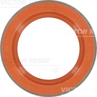 Victor Reinz 81-35876-00 - Уплотняющее кольцо, коленчатый вал autodnr.net
