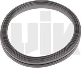 Vika 11031825701 - Прокладка, крышка картера рулевого механизма autodnr.net