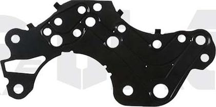 Vika 11091808201 - Прокладка, натяжний пристрій ланцюга приводу autocars.com.ua