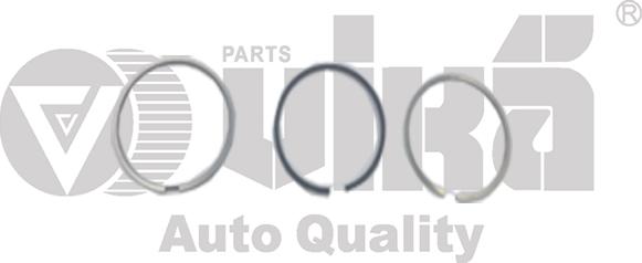 Vika 11981629801 - Комплект поршневих кілець autocars.com.ua