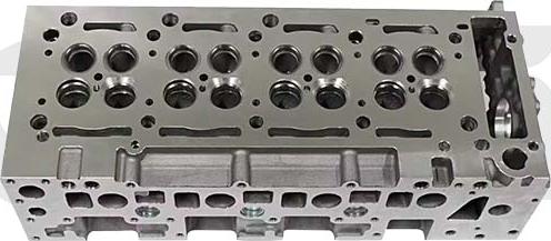 Vika 19876701 - Головка циліндра autocars.com.ua