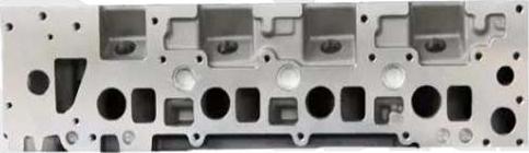 Vika 19876901 - Головка циліндра autocars.com.ua