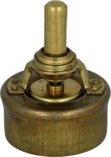 WAHLER 3029.89 - Термостат, охолоджуюча рідина autocars.com.ua