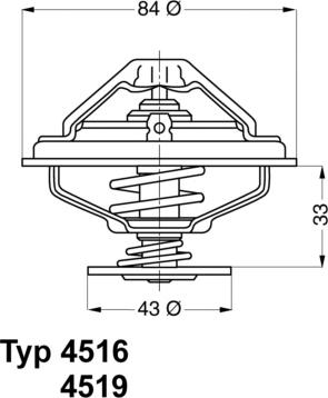 WAHLER 4516.85D - Термостат, охолоджуюча рідина autocars.com.ua