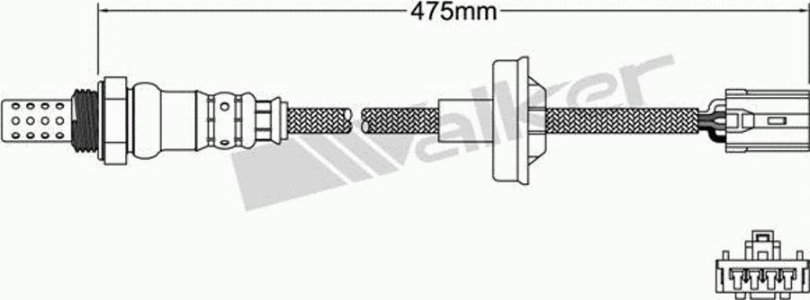 Walker 250-24979 - Лямбда-зонд autocars.com.ua