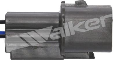 Walker Products 250-241043 - Лямбда-зонд autocars.com.ua