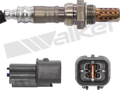 Walker Products 250-241043 - Лямбда-зонд autocars.com.ua