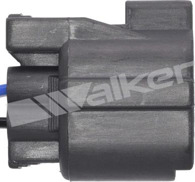 Walker Products 250-241123 - Лямбда-зонд autocars.com.ua