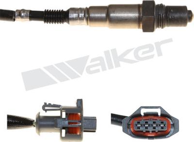 Walker Products 250-241207 - Лямбда-зонд autocars.com.ua
