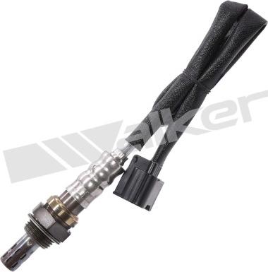 Walker Products 250-241229 - Лямбда-зонд autocars.com.ua