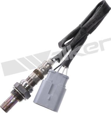 Walker Products 250-241236 - Лямбда-зонд autocars.com.ua