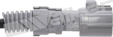 Walker Products 250-241261 - Лямбда-зонд, датчик кислорода autodnr.net