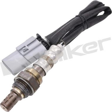 Walker Products 250-241288 - Лямбда-зонд autocars.com.ua