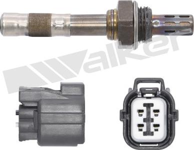 Walker Products 250-24446 - Лямбда-зонд autocars.com.ua