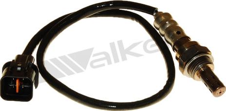 Walker Products 250-24462 - Лямбда-зонд autocars.com.ua