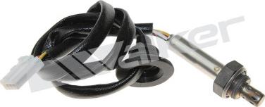 Walker Products 250-24542 - Лямбда-зонд autocars.com.ua