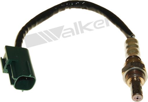 Walker Products 250-24951 - Лямбда-зонд autocars.com.ua