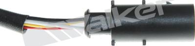 Walker Products 250-25126 - Лямбда-зонд autocars.com.ua