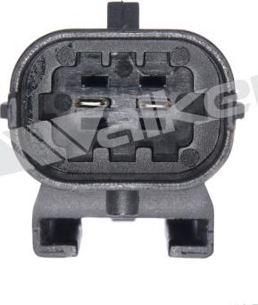 Walker Products 273-20031 - Датчик, температура вихлопних газів autocars.com.ua