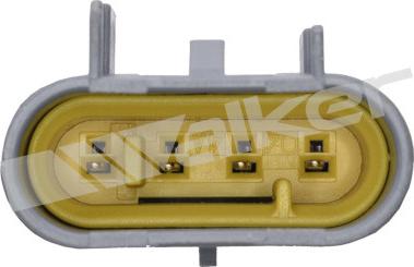 Walker Products 350-341060 - Лямбда-зонд autocars.com.ua