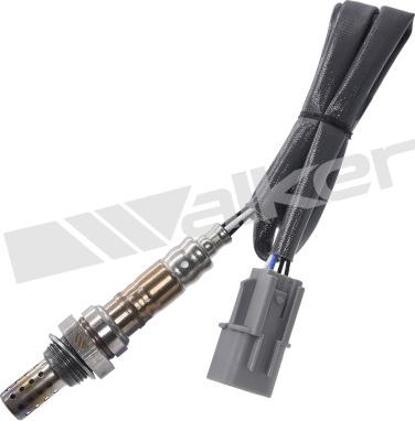 Walker Products 350-34240 - Лямбда-зонд autocars.com.ua