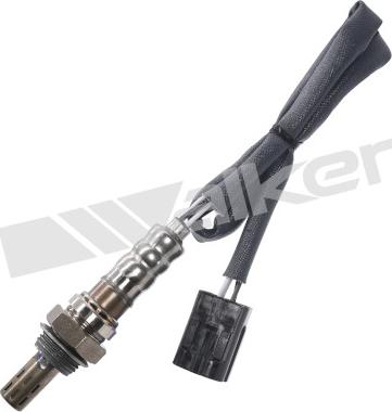 Walker Products 350-34244 - Лямбда-зонд autocars.com.ua