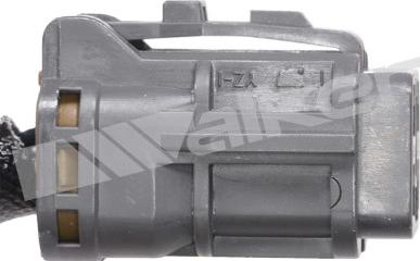 Walker Products 350-34843 - Лямбда-зонд autocars.com.ua