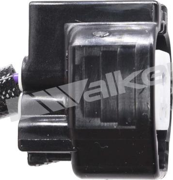 Walker Products 350-34862 - Лямбда-зонд autocars.com.ua