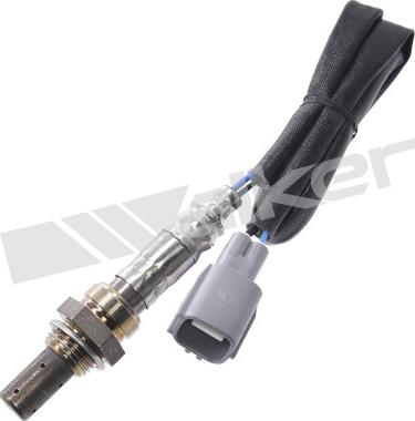 Walker Products 350-64002 - Лямбда-зонд autocars.com.ua