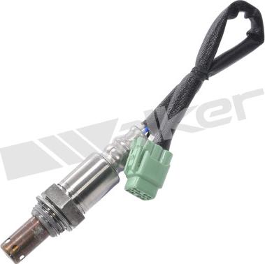 Walker Products 350-64036 - Лямбда-зонд autocars.com.ua