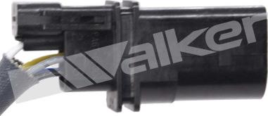 Walker Products 350-95025 - Лямбда-зонд autocars.com.ua