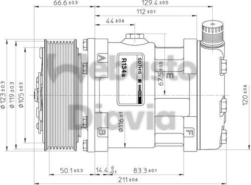 Webasto 82D015506MA - Компресор, кондиціонер autocars.com.ua