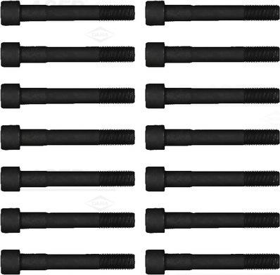 Wilmink Group WG1006263 - Комплект болтів головки циліндрів autocars.com.ua