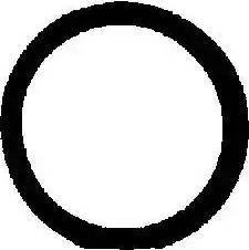 Wilmink Group WG1008610 - Прокладка, корпус впускного колектора autocars.com.ua