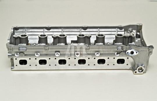 Wilmink Group WG1011227 - Головка циліндра autocars.com.ua