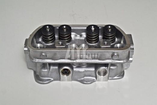 Wilmink Group WG1011514 - Головка циліндра autocars.com.ua