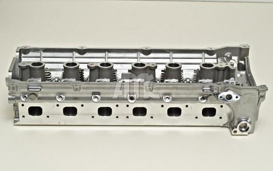 Wilmink Group WG1011529 - Головка циліндра autocars.com.ua